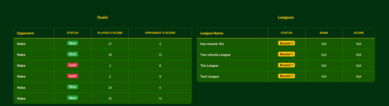 Duels and Leagues Career Statistics